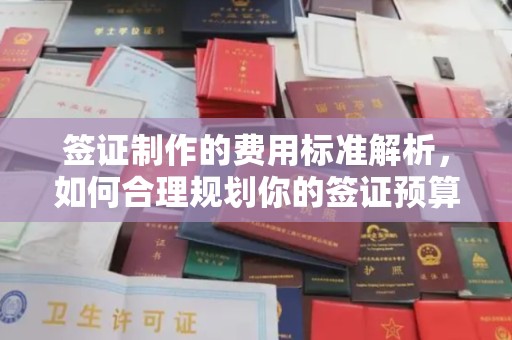 靖州签证制作的费用标准解析，如何合理规划你的签证预算