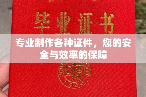 靖州专业制作各种证件，您的安全与效率的保障