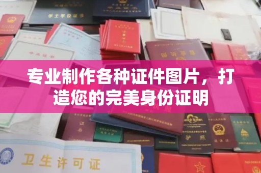 靖州专业制作各种证件图片，打造您的完美身份证明