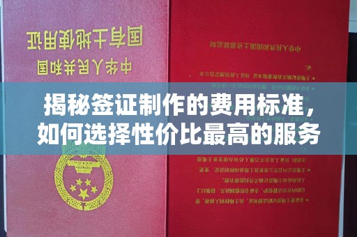 靖州揭秘签证制作的费用标准，如何选择性价比最高的服务？