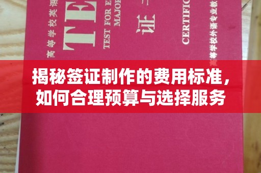 靖州揭秘签证制作的费用标准，如何合理预算与选择服务