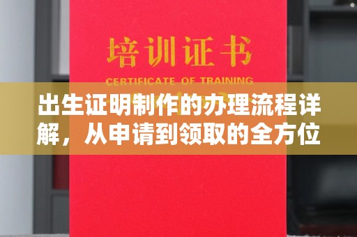靖州出生证明制作的办理流程详解，从申请到领取的全方位指南